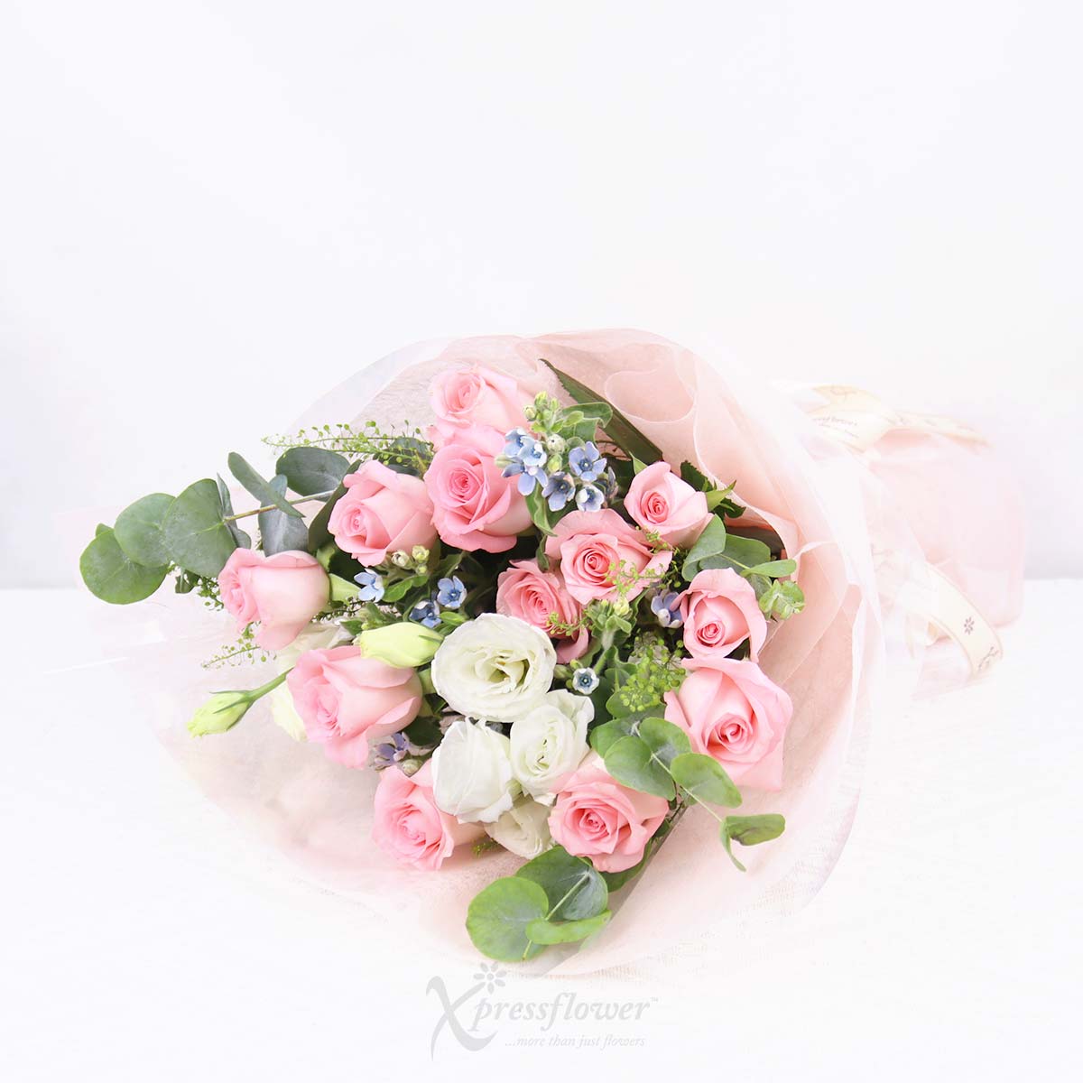 BQ2529 Chic Promise 12 Pink Roses 1b