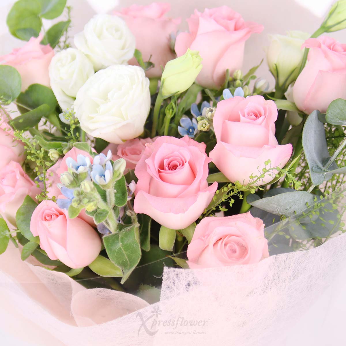 BQ2529 Chic Promise 12 Pink Roses 1c