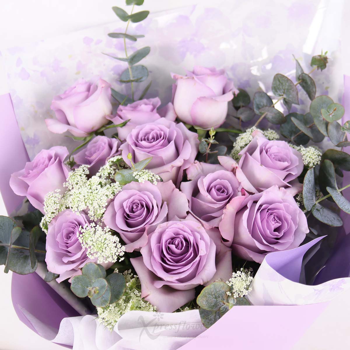 BQ2537 Enchanted Soul 12 Zixia Fairy Roses 1c