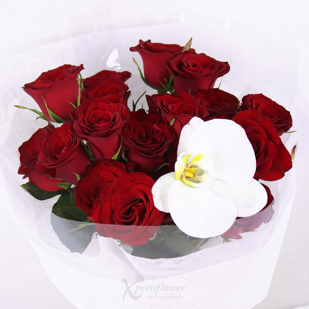 BQ2544 Orchid Flame 21 Red Roses with 1 White Orchid 1c