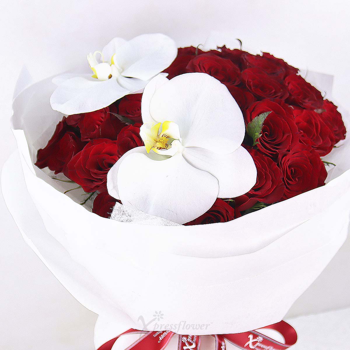BQ2546 Forever Yours 52 Red Roses with 2 White Orchids 1c