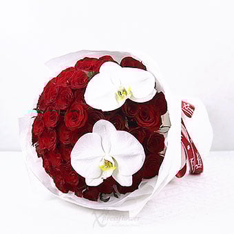 BQ2546 Forever Yours (52 Red Roses with 2 White Orchids)