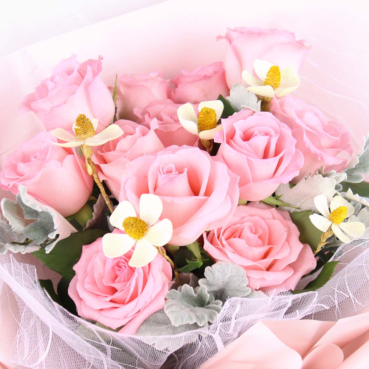 BQ2548 Ever Sweet 12 Pink Roses 1c