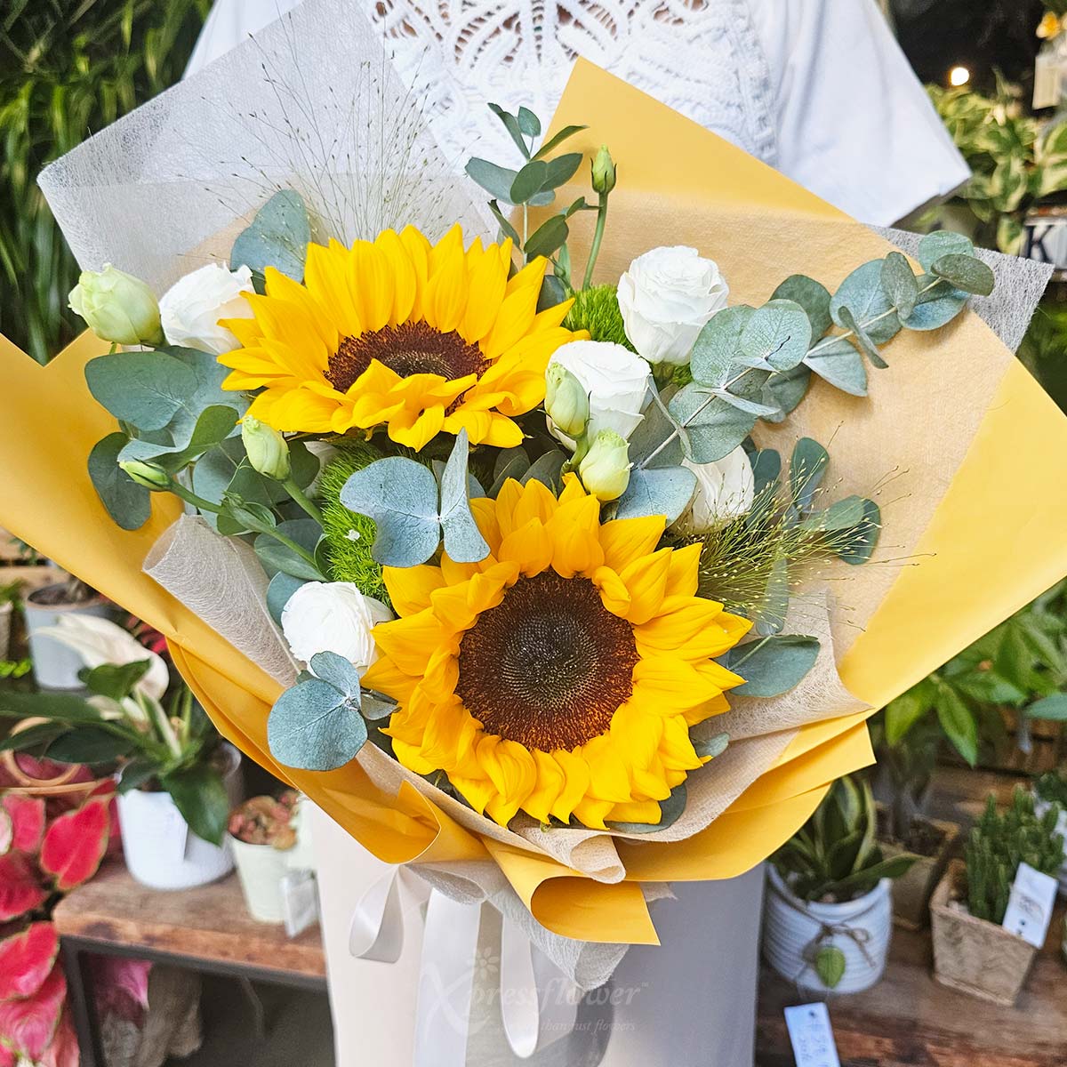 BQ2552 Golden Joy 2 Sunflowers 3a