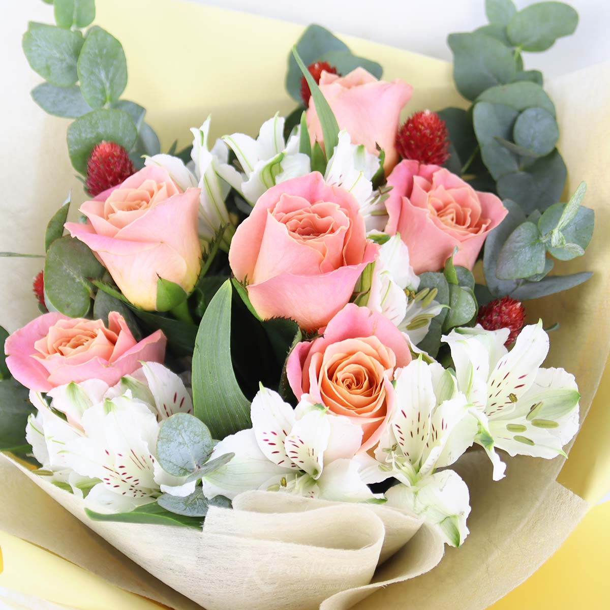 BQ2553 Rosy Swoon 6 Piggy Roses 1c