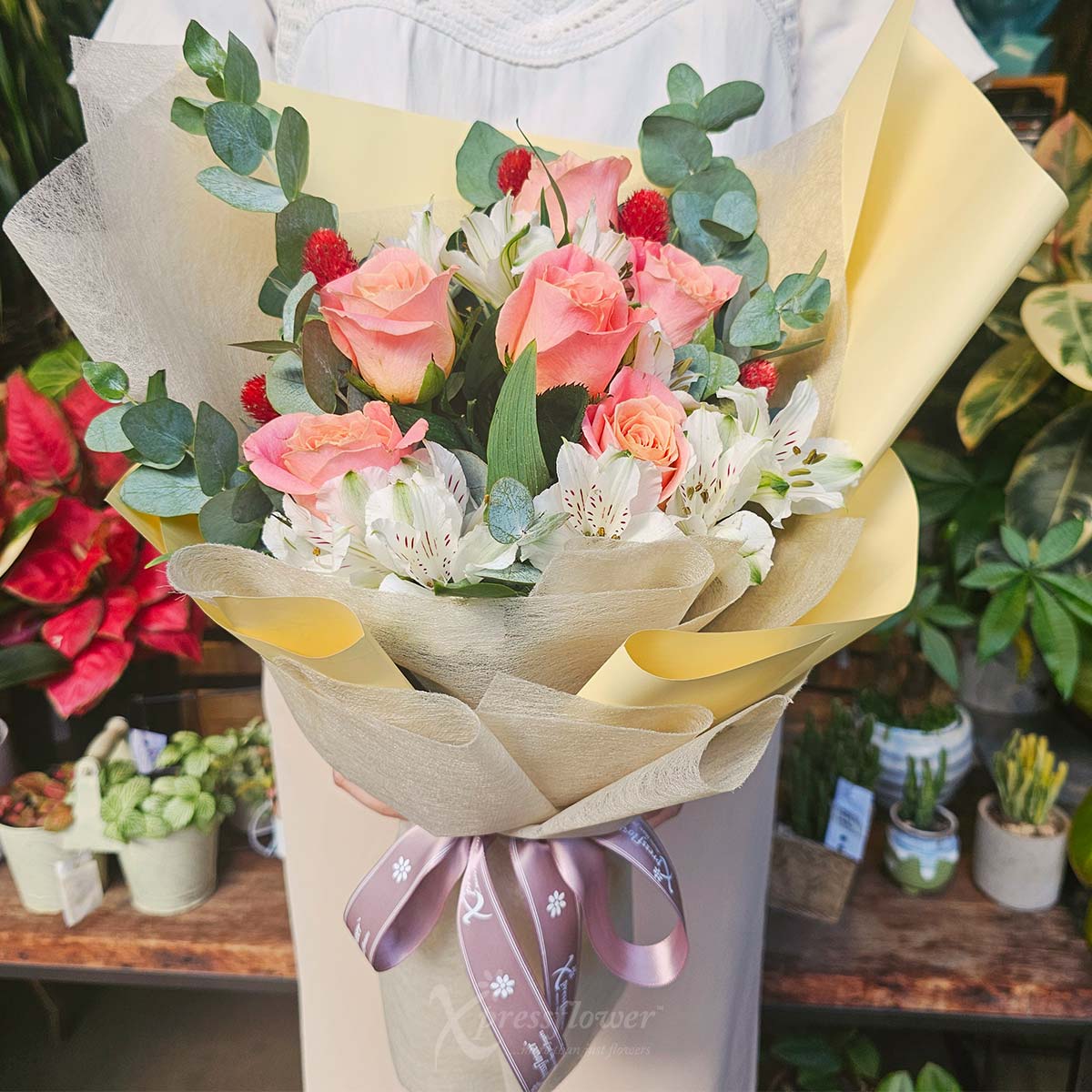 BQ2553 Rosy Swoon 6 Piggy Roses 3a