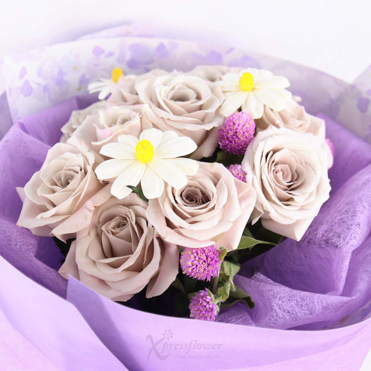 BQ2554 Dream Waltz 12 Menta Roses 1c