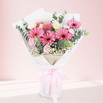 Pink Serenade (6 Dark Pink Gerberas)