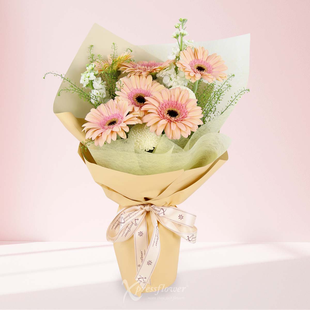 Pastel Poise (6 Peach Gerberas)