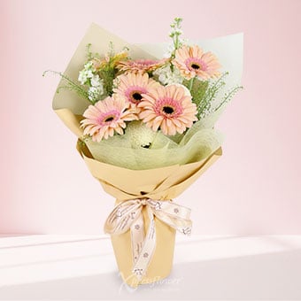 Pastel Poise (6 Peach Gerberas)