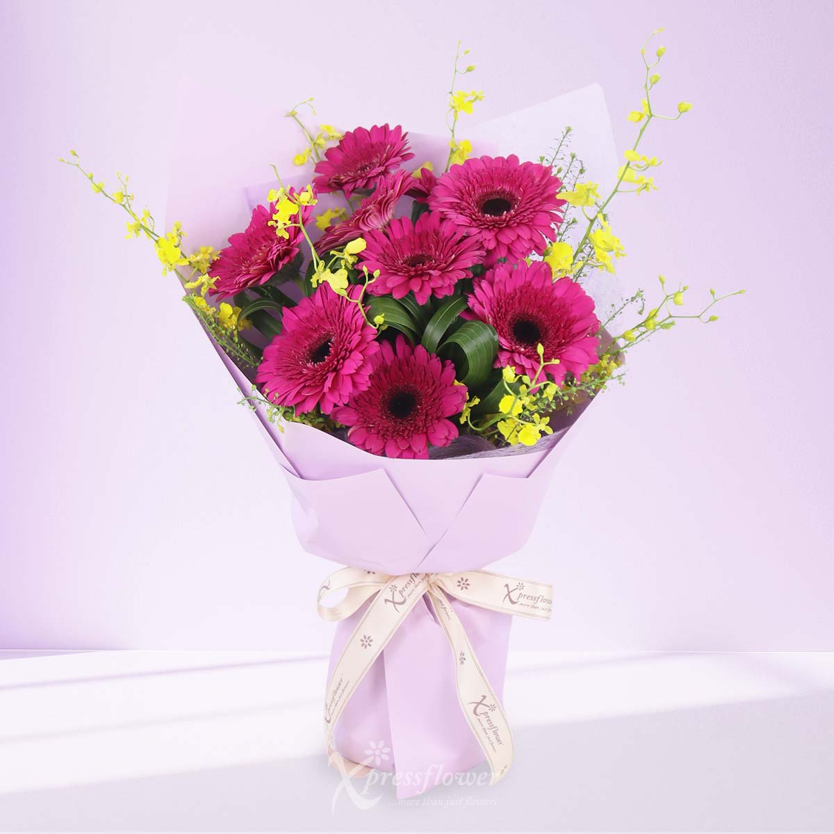Berry Bloom (9 Purple Gerberas) 
