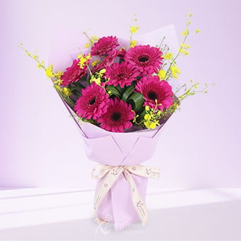 Berry Bloom (9 Purple Gerberas) 