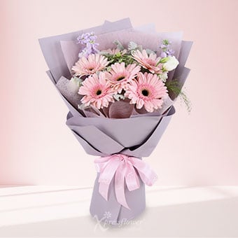 Blushing Poise (6 Light Pink Gerberas) 