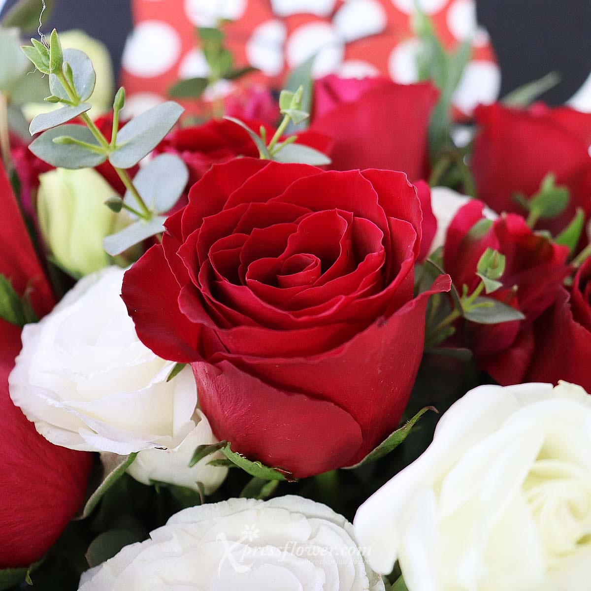 DSBQ2301 Rouge Flattery (12 Red Roses Disney Bouquet) 1d