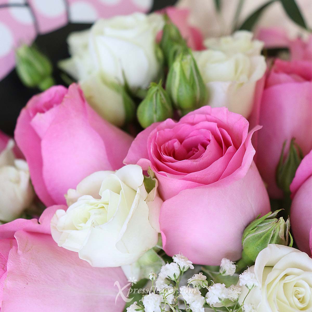DSBQ2302 Dazzling Arossa (12 Pink Roses Disney Bouquet) 1d