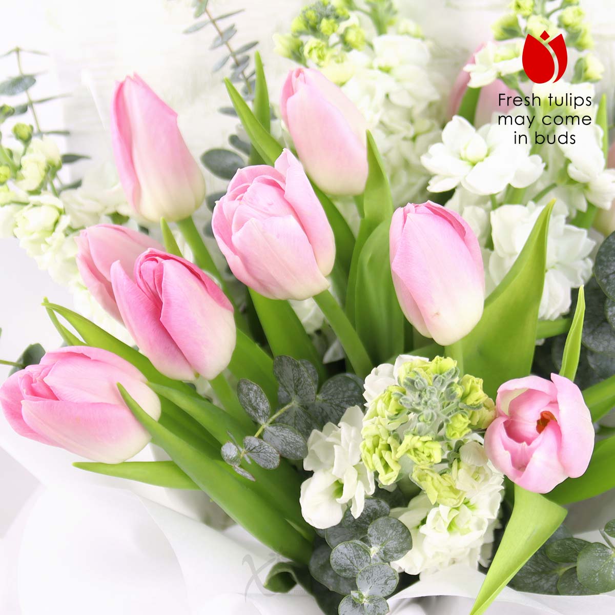 Secret Elegance 9 Pink Tulips 1c