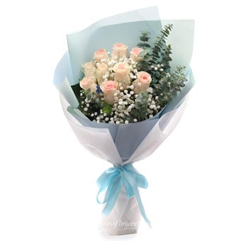 TQ1701 Winter Romance (9 Pink Roses)