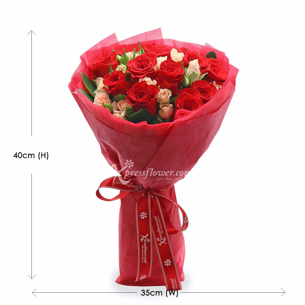 bq1807 mad passion 12 Red Roses 1c