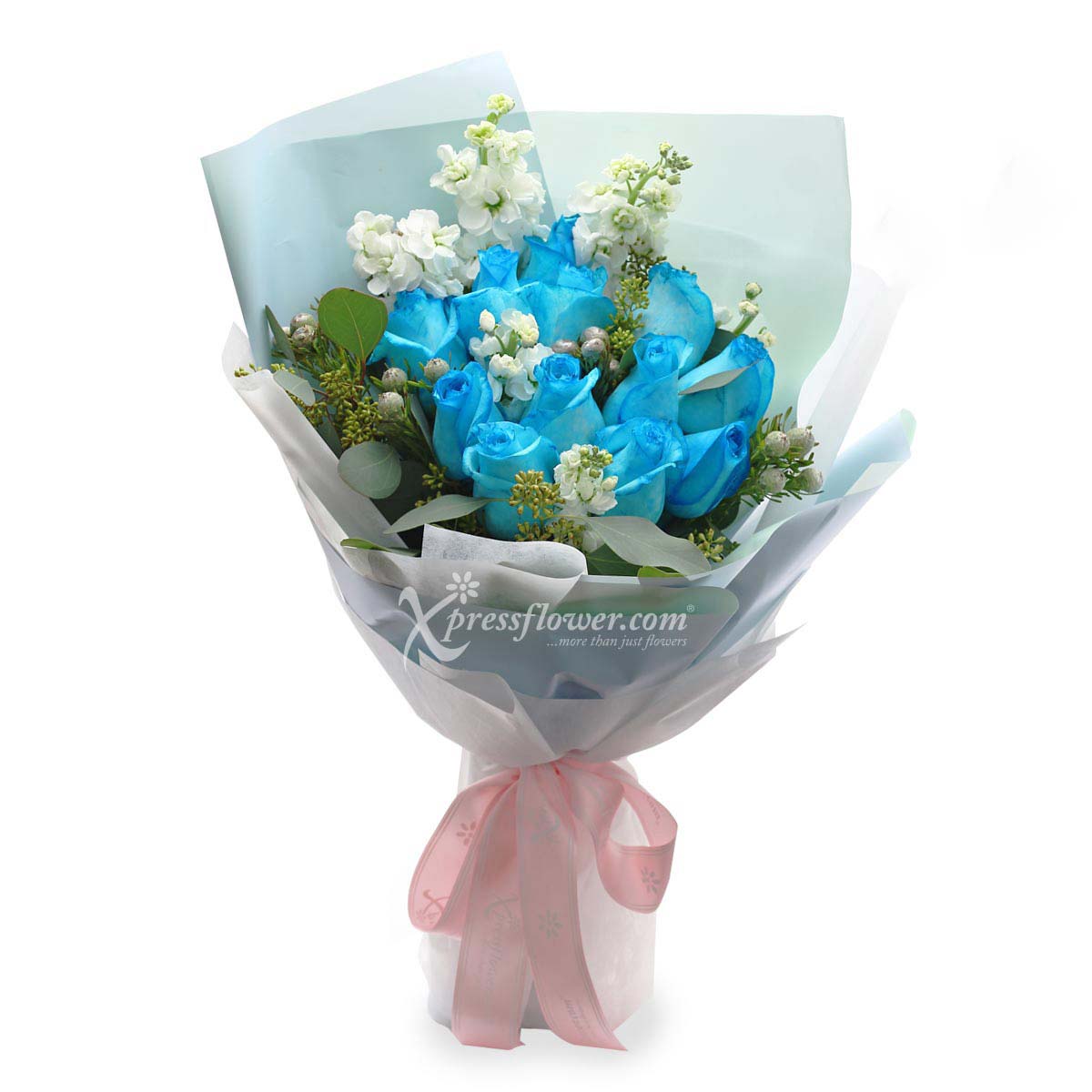 Euphoric Charms (12 Blue Roses)