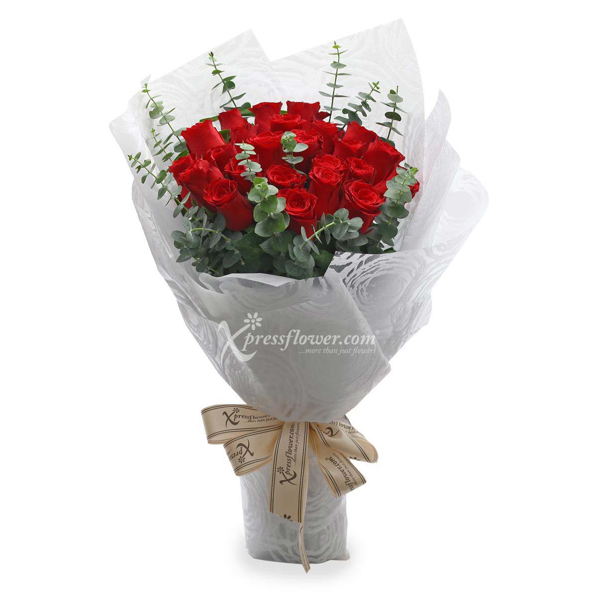 Stunning Magnificence (24 Red Roses)
