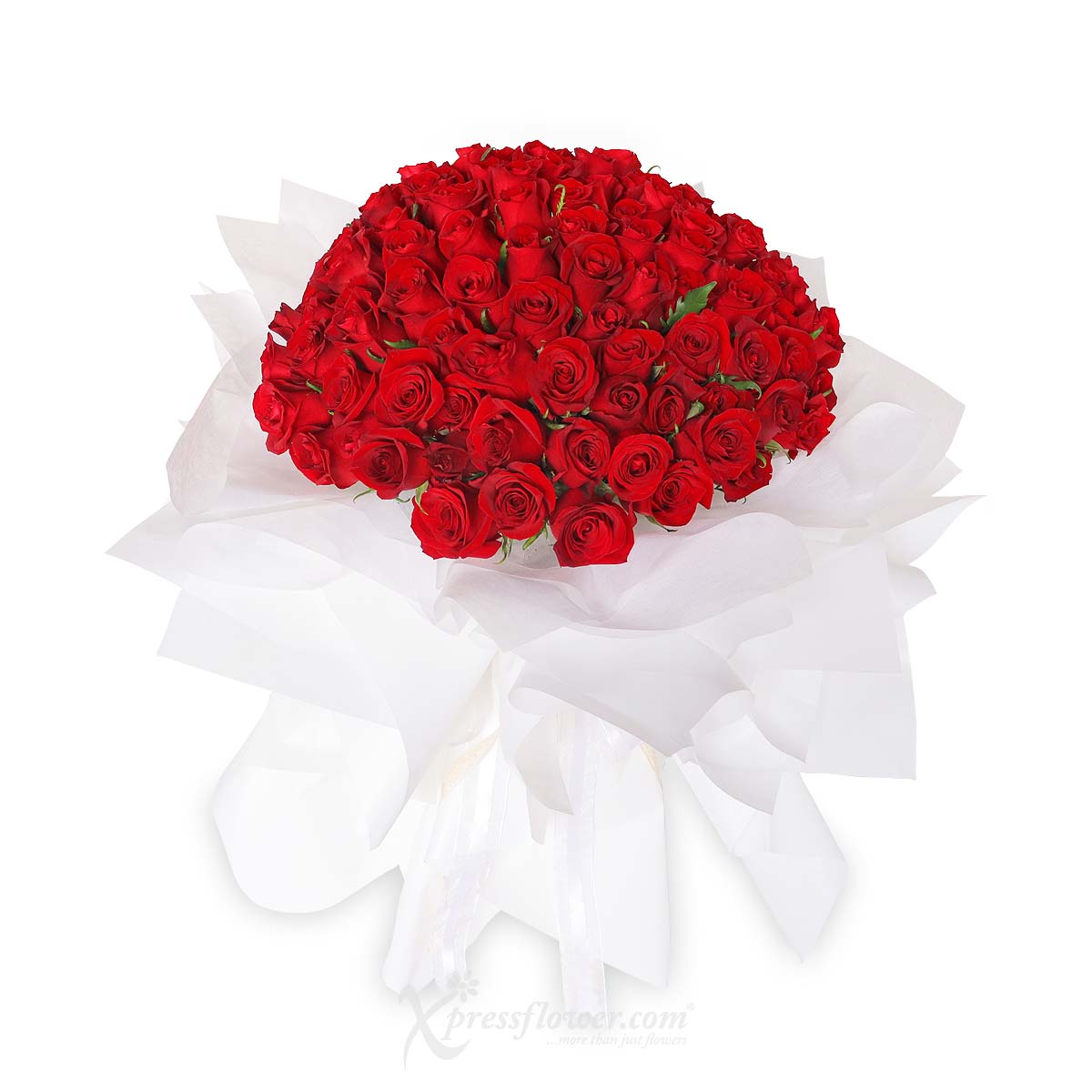 BQ2337_Crimson Eleganza 99 Red Roses 210923 1b