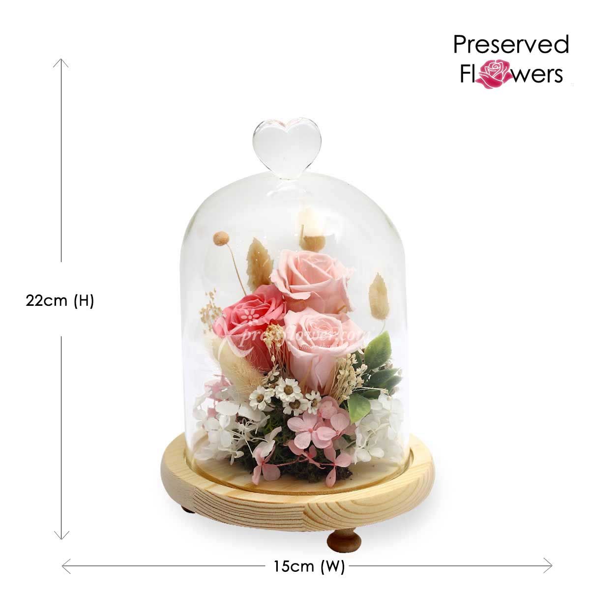 PR2003 Fluttering Heartbeat Preserved Flowers