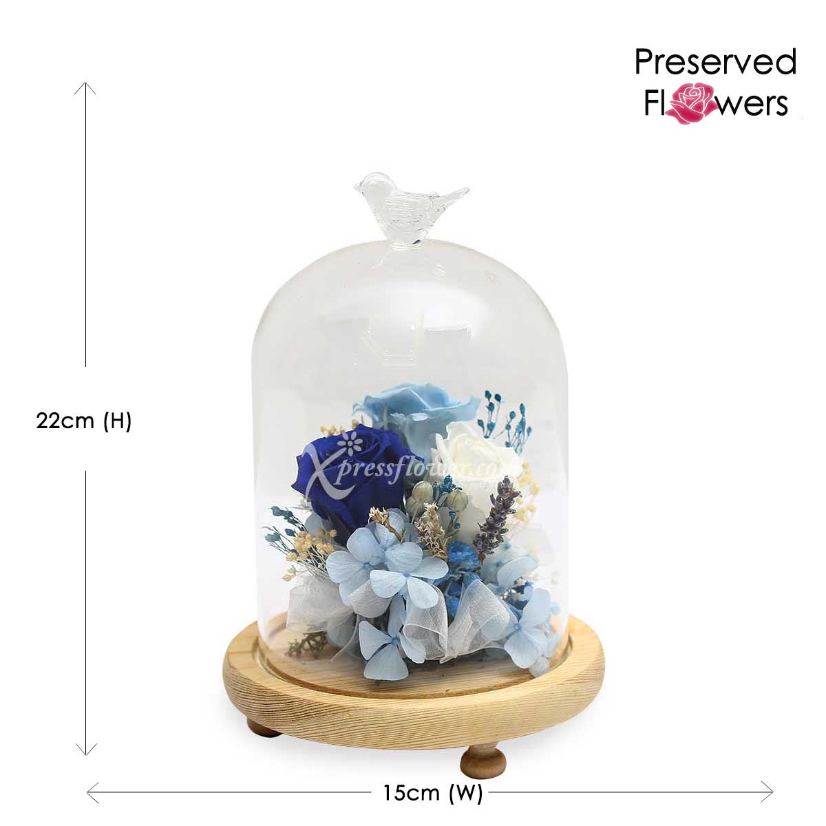 PR2004 Frozen in Time Preserved Flowers