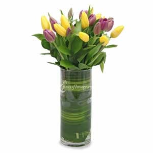 Flawless Finesse (10 Purple Tulips & 10 Yellow Tulips)