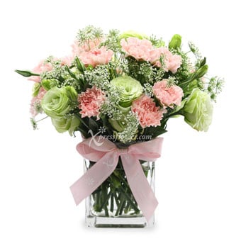 Darling Enchantment (12 Pink Carnations)