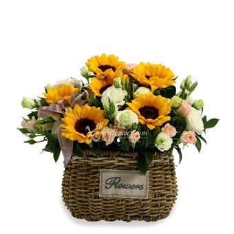 Basket of Sunshine (6 Sunflowers)