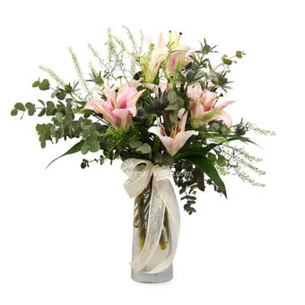 Lily Dreams (3 Pink Lilies)