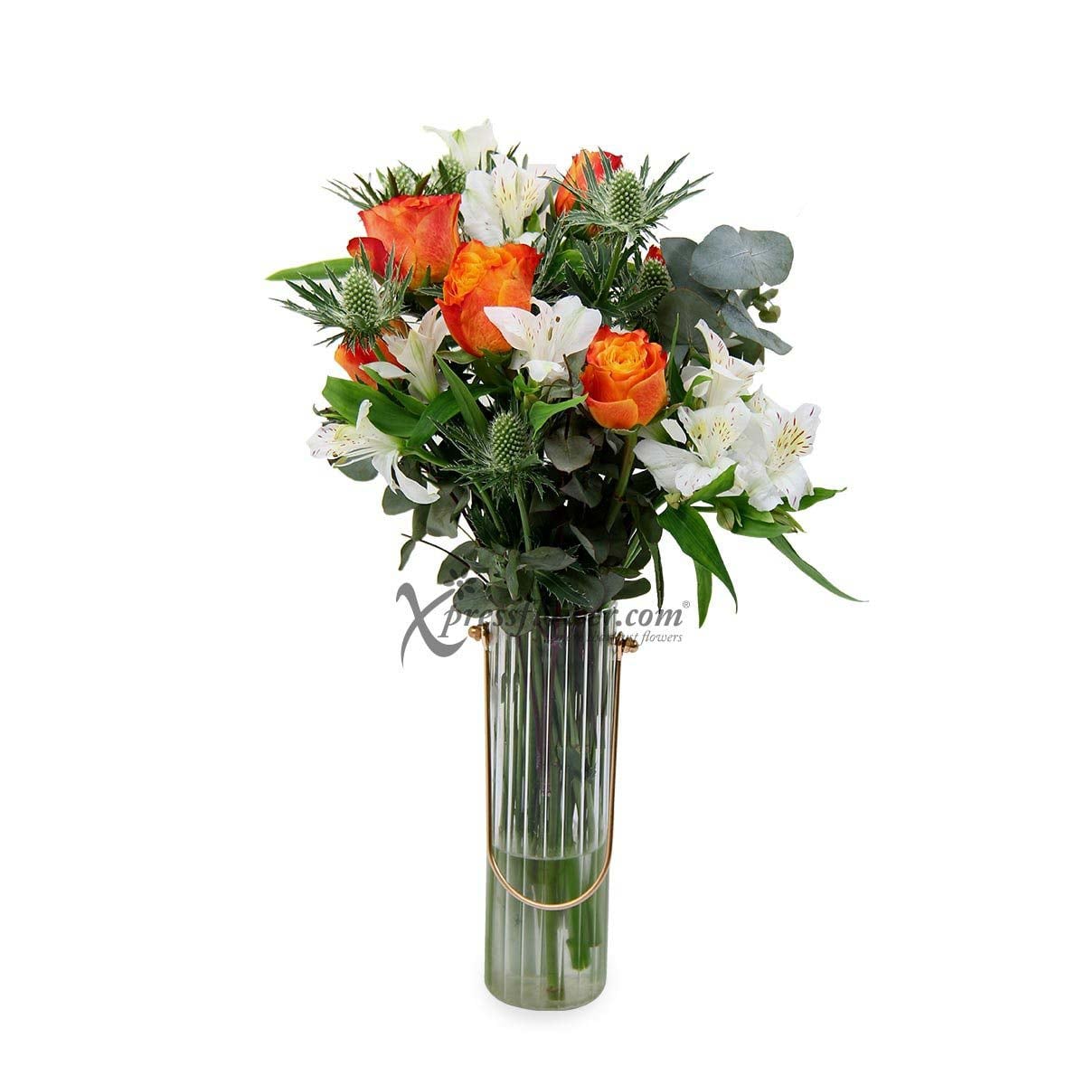 Candle Light (6 Orange Roses)