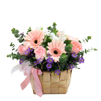 AR2028 Mirthful Blooms (3 Pink Roses & 3 Pink Gerberas)