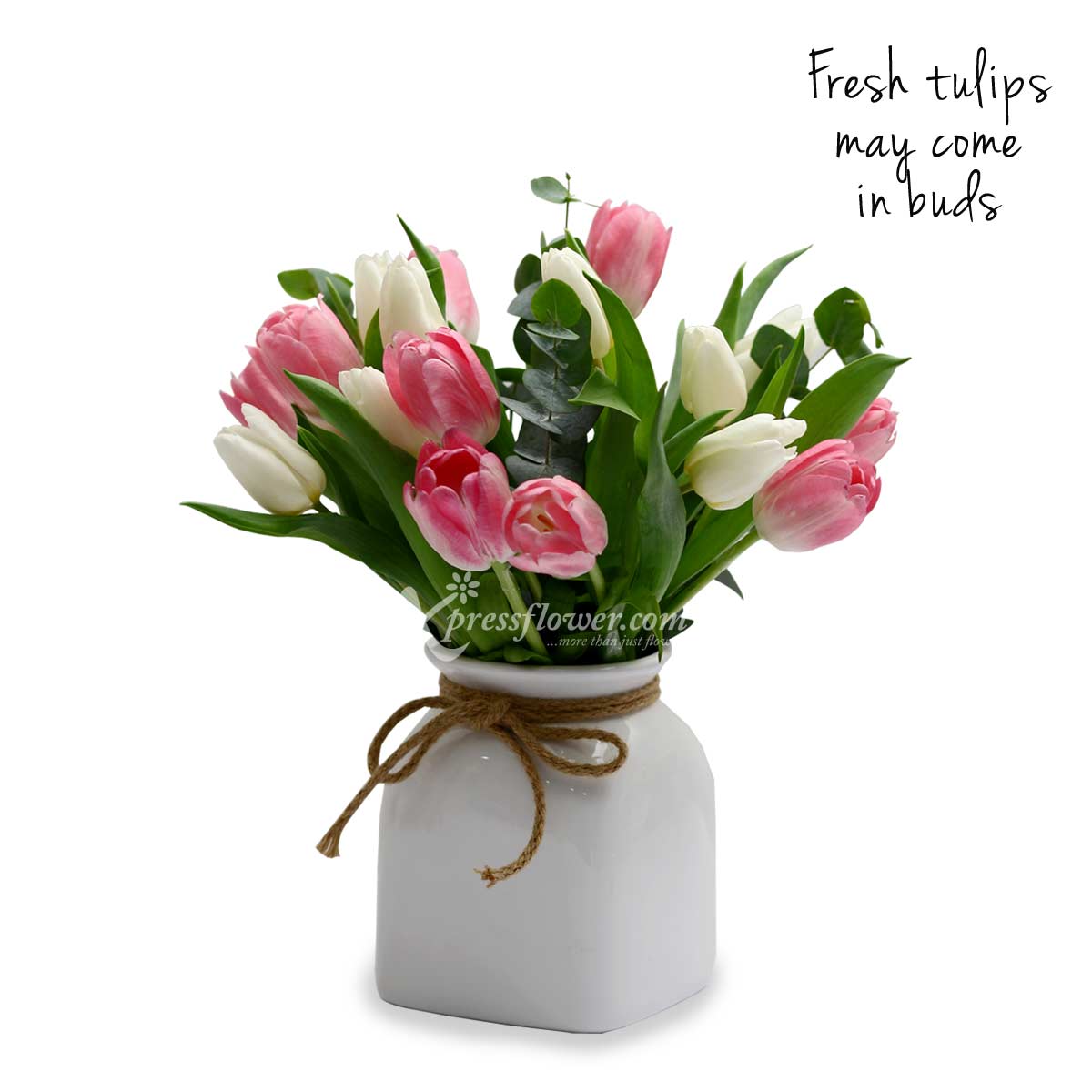 AR2120 Peaches & Cream 18 Tulips white pink B