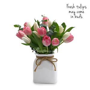 Peaches & Cream (9 Pink & 9 White Tulips)