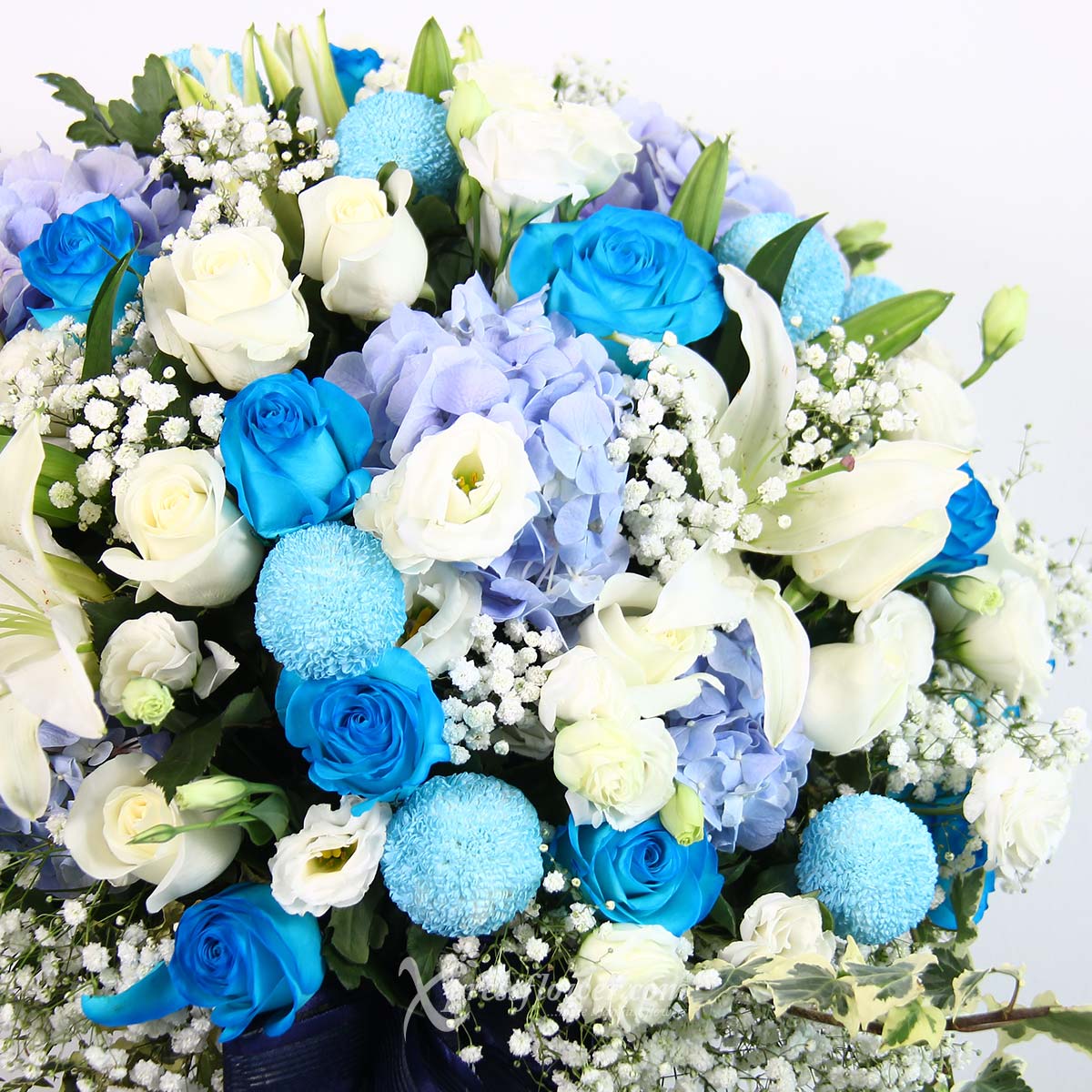 AR2121 Grand Ultramarine blue roses white roses 1b