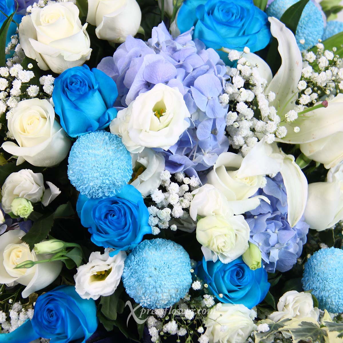 AR2121 Grand Ultramarine blue roses white roses 1c
