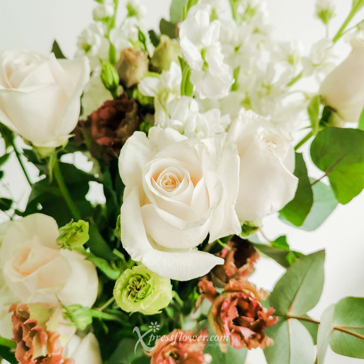 AR2210 Blooming Mod 1c