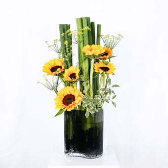 Helios Pleasure (6 Sunflowers & 5 stalks Anethum, Pittosporum Tenuifolium)