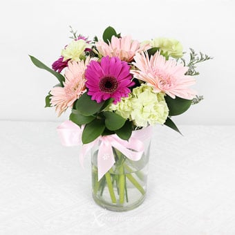 Charismatic Classic (6 Mix Purple & Pink Gerberas with Green Carnation Spray)