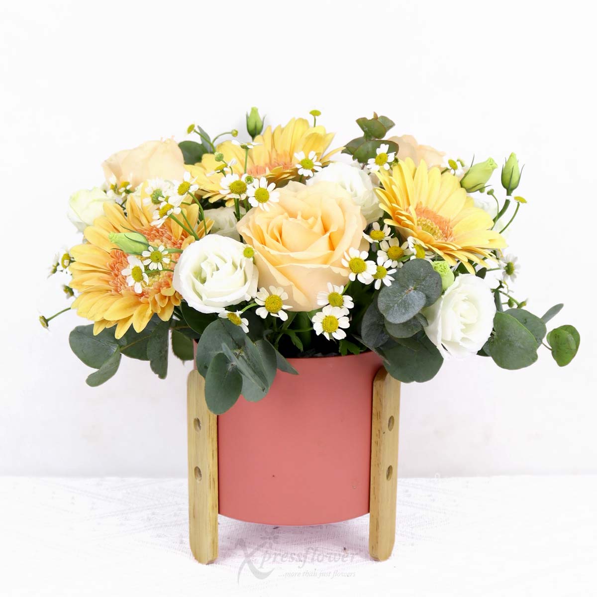 Glow Up (Champagne Roses & Gerberas)