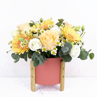 Glow Up (Champagne Roses & Gerberas)