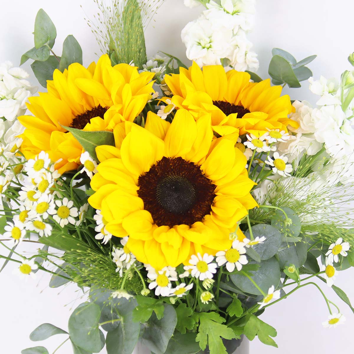 AR2508 Sunburst Cheer 3 Sunflowers with White Matthiolas 1b