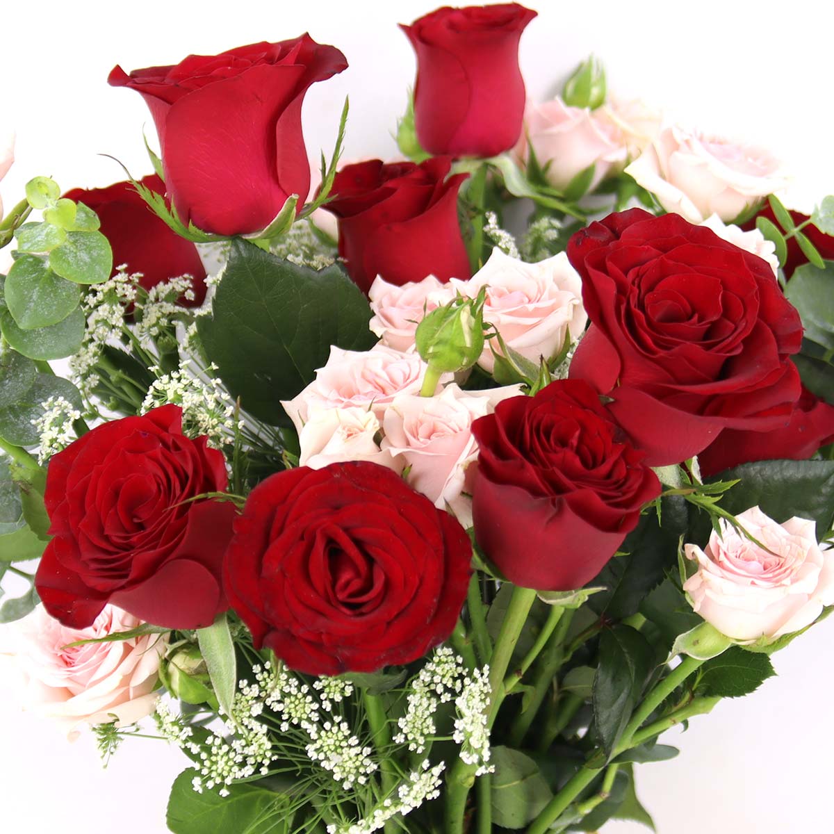 AR2509 Hearty Bloom 10 Red Roses with Pink Rose Sprays 1d