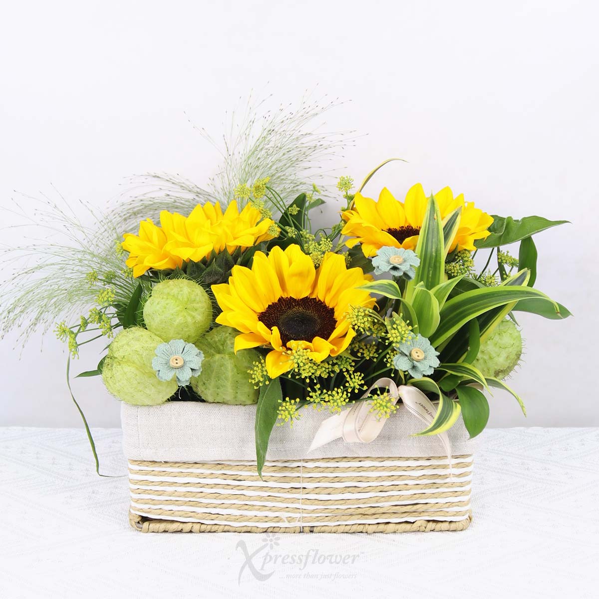 AR2516 Golden Glow 3 Sunflowers 1b