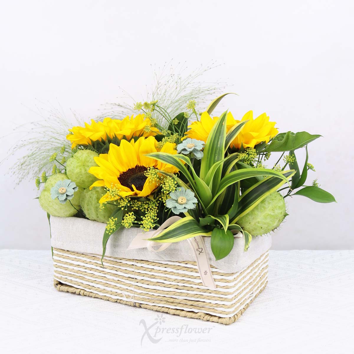 AR2516 Golden Glow 3 Sunflowers 1c