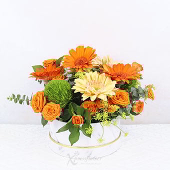 Zesty Glow (6 Gerberas with Orange Rose Sprays)