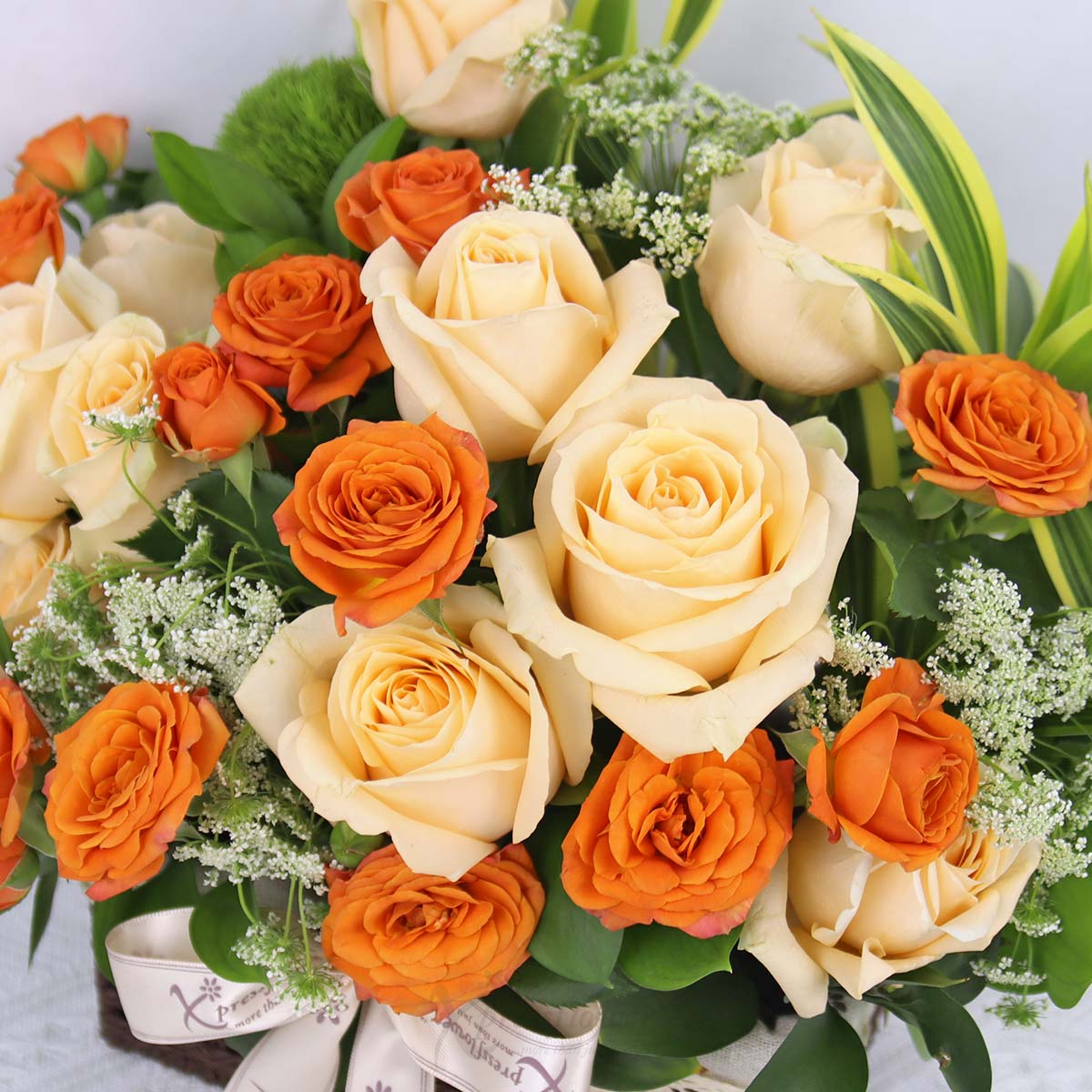 AR2521 Golden Cheers 10 Champagne Roses 1c