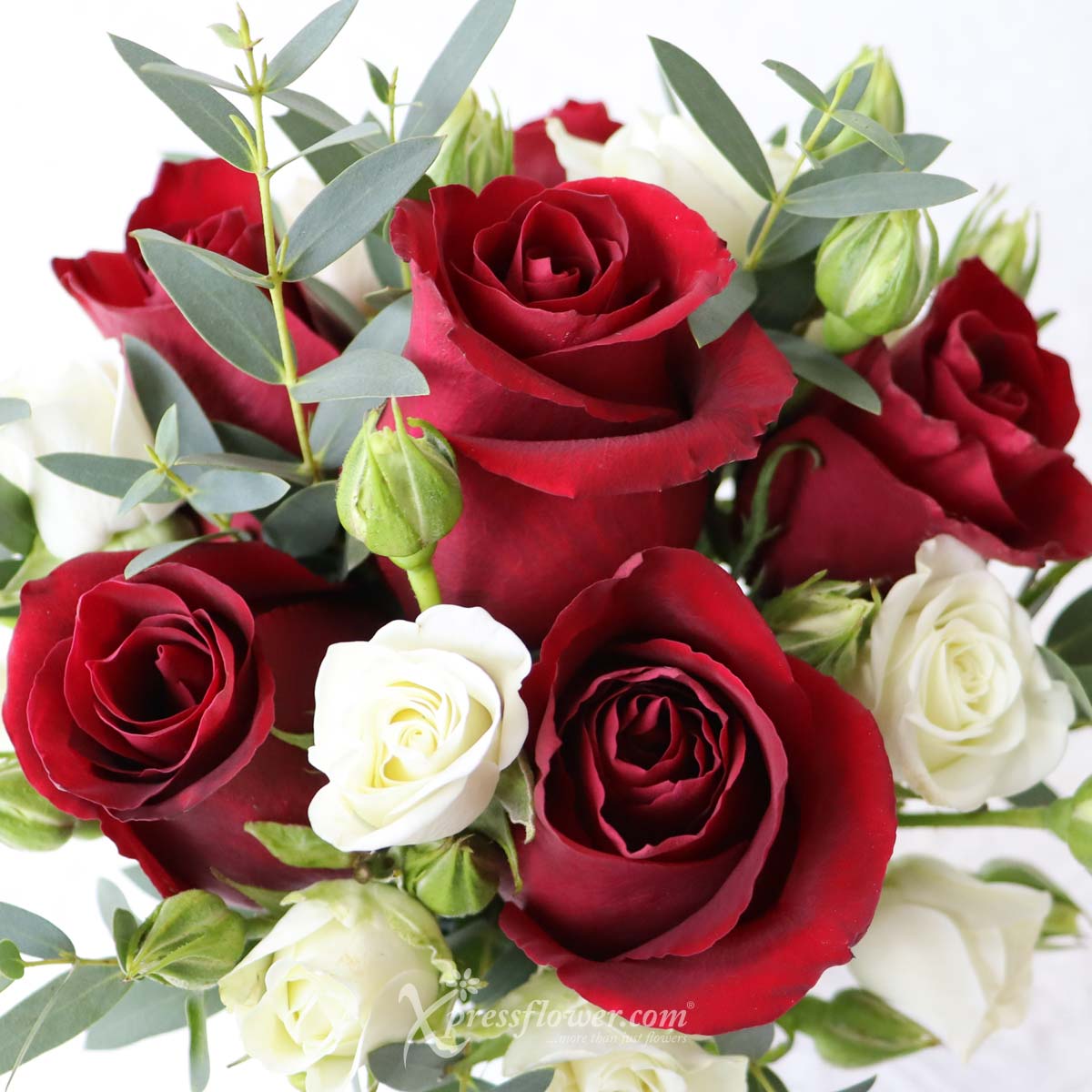 DSAR2301 Connecting Romance (6 Red Roses Disney Flower Arrangement) 1c