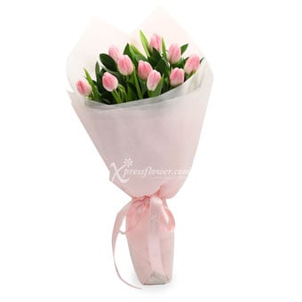 Blushing Pink (10 Pink Tulips)